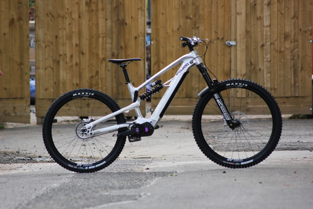 Alutech ePelmo GD8 enduro e-MTB with Gates belt drive